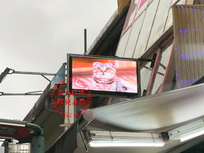 LED跑馬燈 貓之城寵物餐廳 P5