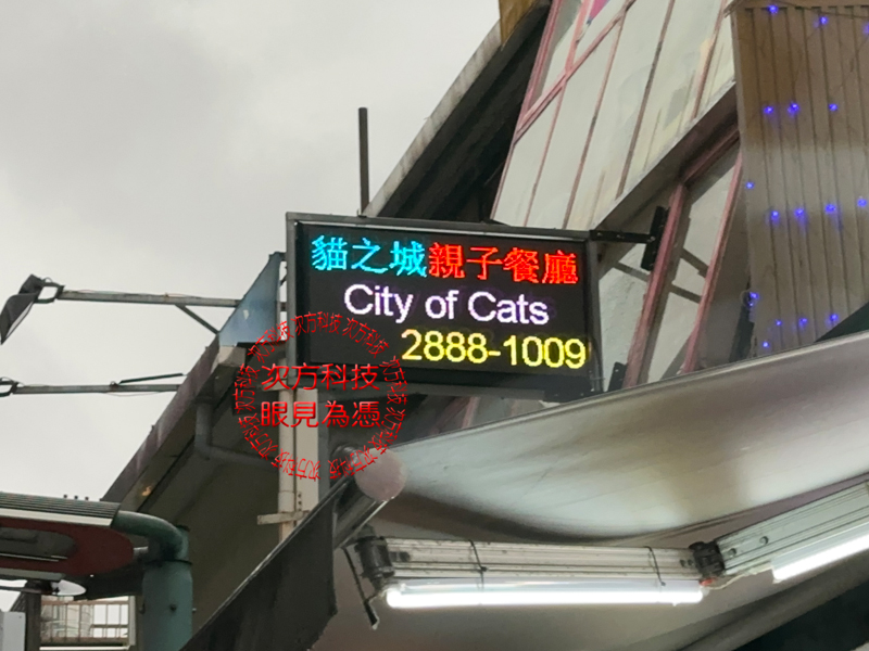 LED跑馬燈 貓之城寵物餐廳 P5
